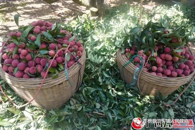 微信图片_20220728150727.jpg